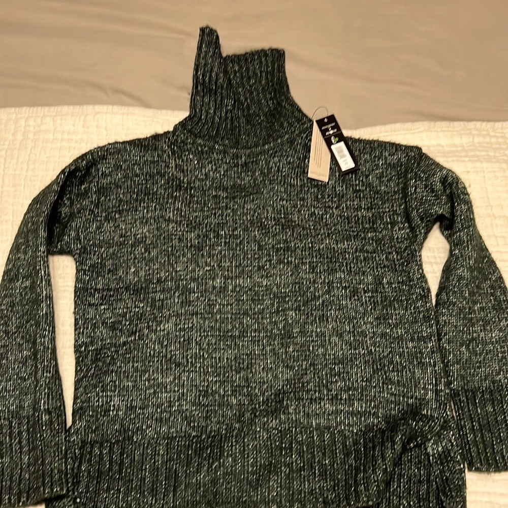Banana Republic Factory Green Sweater